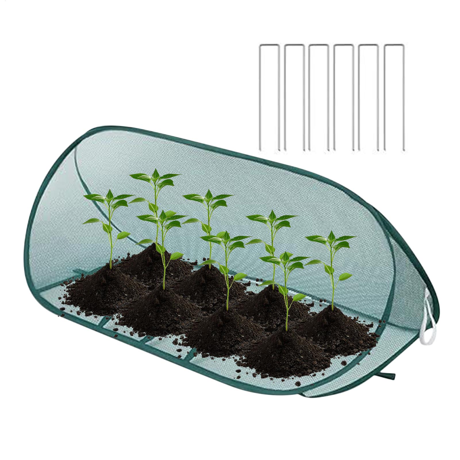 Foldable Plant Protection Nett - đánh giá và giá Flower Wall Panel